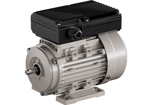 YL 双值电容单相异步电动机